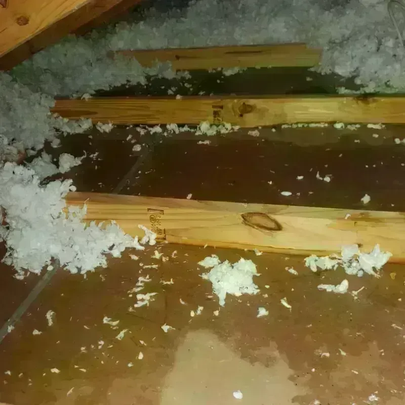 Attic Water Damage in Franklin Parish, LA